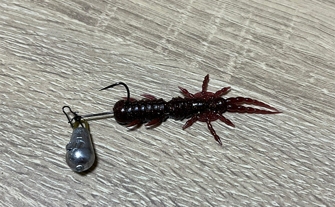 「え、捨てちゃうの？」 破損したワーム（ソフトルアー）の再利用法3選