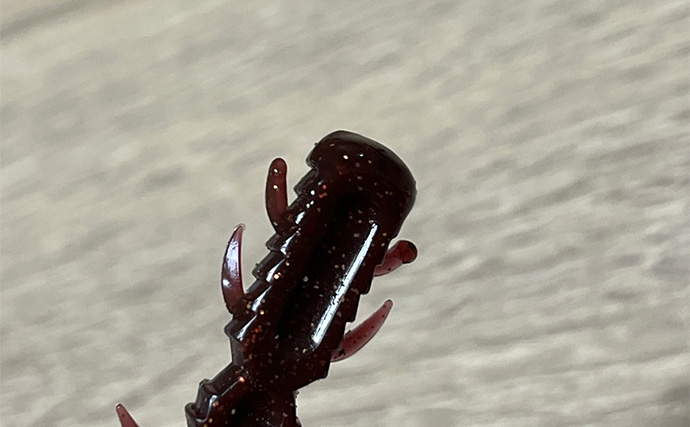 「え、捨てちゃうの？」 破損したワーム（ソフトルアー）の再利用法3選