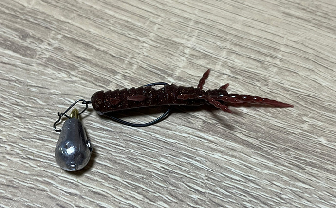 「え、捨てちゃうの？」 破損したワーム（ソフトルアー）の再利用法3選