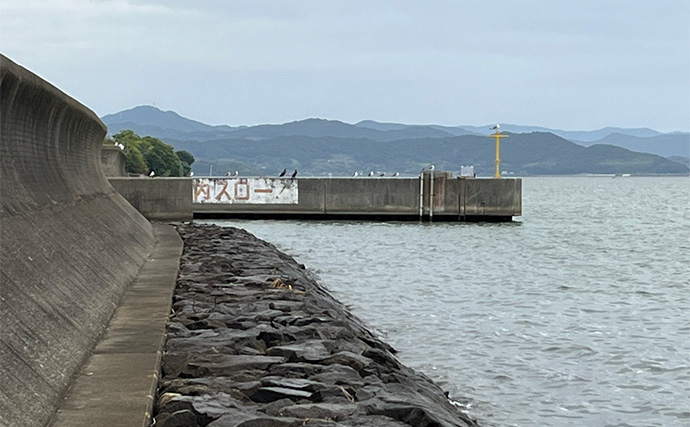 ダイソールアーだけで5魚種キャッチ達成！【静岡】メタルジグマイクロフラットは釣れる！