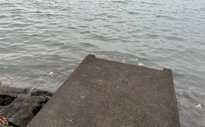 ダイソールアーだけで5魚種キャッチ達成！【静岡】メタルジグマイクロフラットは釣れる！