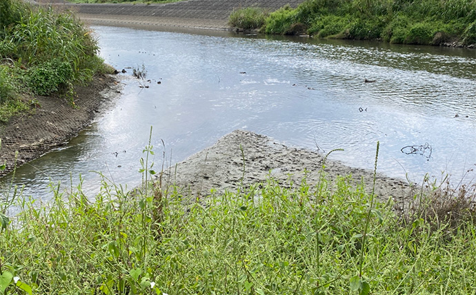 「高活性のシーズンのはずだけど・・」パンコイ釣行でまさかの苦戦【埼玉・綾瀬川】
