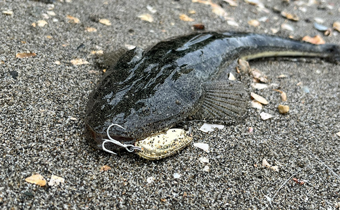 信頼と実績の「ダイソースプーン」ルアーでマゴチ連打【静岡】黒塗りカスタムが的中？