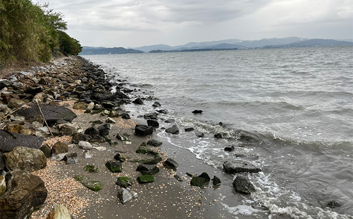 信頼と実績の「ダイソースプーン」ルアーでマゴチ連打【静岡】黒塗りカスタムが的中？