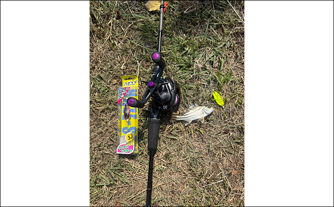 「25cm級良型ハゼがヒット！」ハゼスプで多彩なゲスト含みアタリ堪能【静岡・大賀茂川】