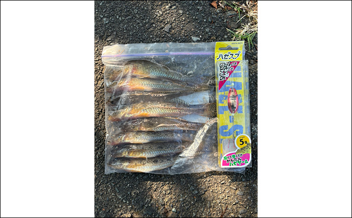 「25cm級良型ハゼがヒット！」ハゼスプで多彩なゲスト含みアタリ堪能【静岡・大賀茂川】