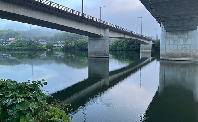 大人気ダイソールアー『メタルジグマイクロフラット』でスレきったバスを仕留める！【愛知】