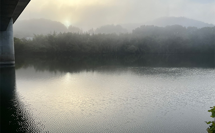 大人気ダイソールアー『メタルジグマイクロフラット』でスレきったバスを仕留める！【愛知】