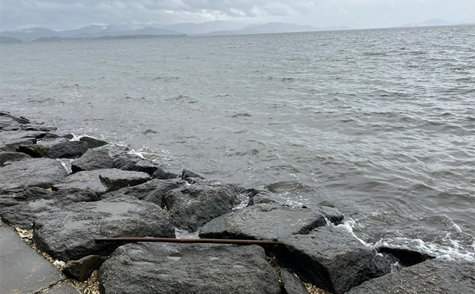 「冷凍アサリ＋直リグ＝アサリグ」でアタリ連発！【静岡】チヌにへダイをキャッチ成功