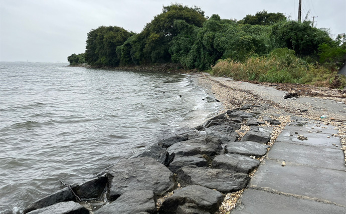 「冷凍アサリ＋直リグ＝アサリグ」でアタリ連発！【静岡】チヌにへダイをキャッチ成功