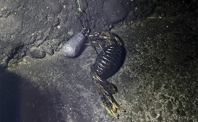 ダイソーの「クラブワーム」で良型マゴチをキャッチ【浜名湖】直リグに即ヒット！