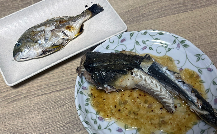 ダイソーの「クラブワーム」で良型マゴチをキャッチ【浜名湖】直リグに即ヒット！