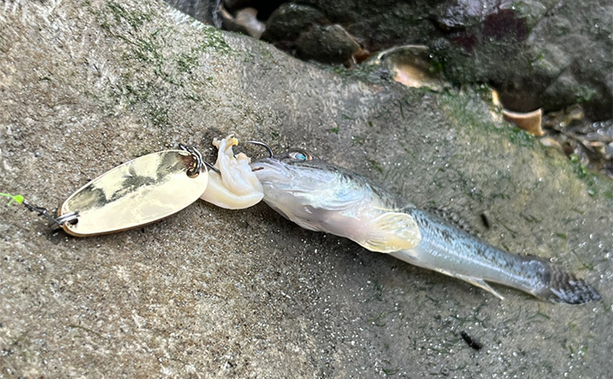 「ボロボロのルアーは捨てちゃダメ！」 使用済みルアーの再利用法4選を紹介