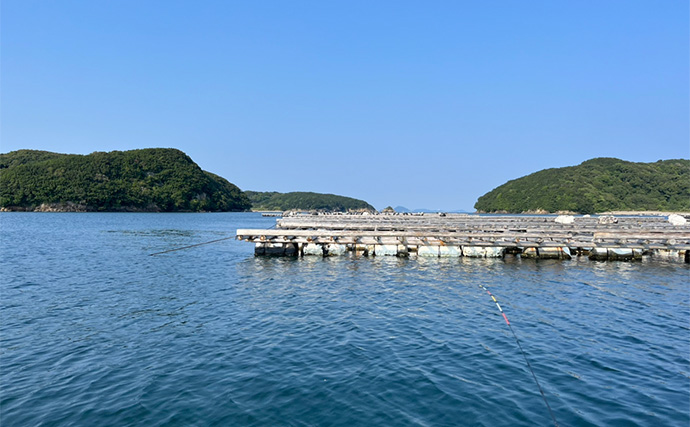 初秋のかかり釣りでクロダイ7尾キャッチ【三重・海香】サナギ&コーンエサが的中