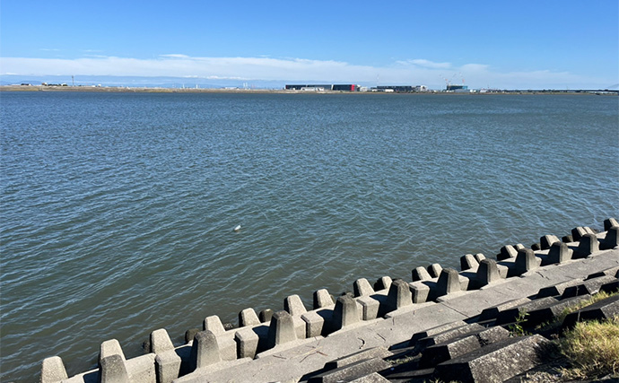 陸っぱりルアーマゴチゲームで本命連発！【木曽川河口】バス用ワームに好反応