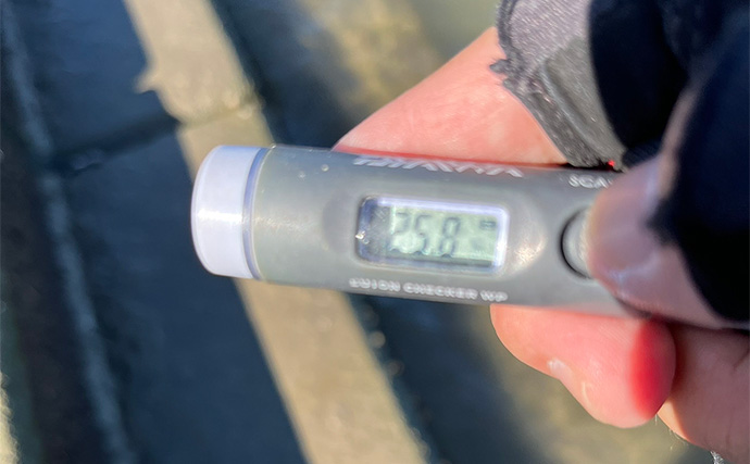 陸っぱりルアーマゴチゲームで本命連発！【木曽川河口】バス用ワームに好反応