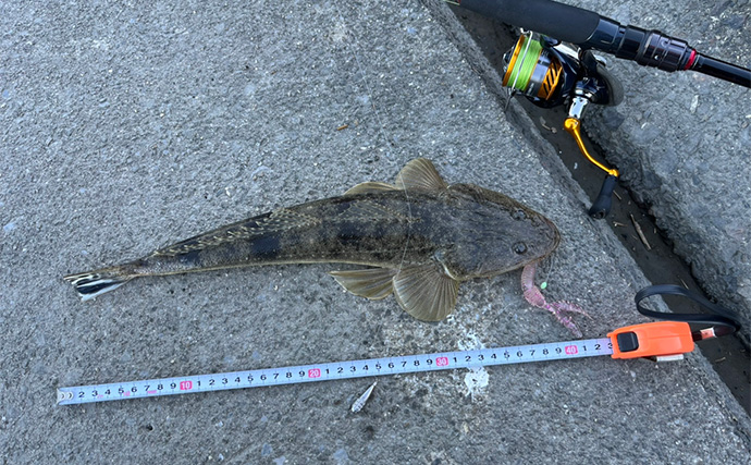 陸っぱりルアーマゴチゲームで本命連発！【木曽川河口】バス用ワームに好反応