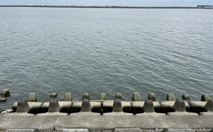 陸っぱりルアーマゴチゲームで本命連発！【木曽川河口】バス用ワームに好反応