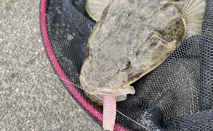 陸っぱりルアーマゴチゲームで本命連発！【木曽川河口】バス用ワームに好反応