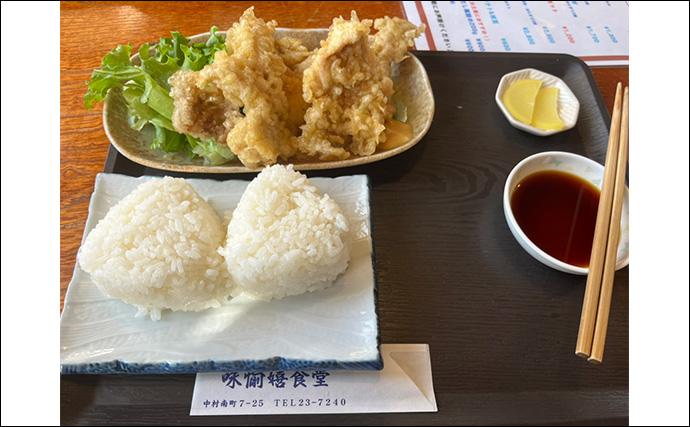 秋エギングでアオリイカの数釣りを達成【大分】コロッケ～トンカツサイズも混じる