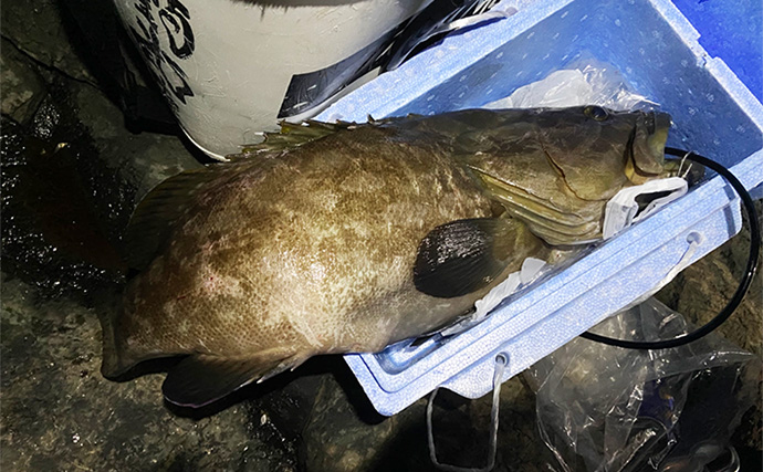 夜釣りで5.3kgアラ（クエ）をキャッチ！【山口】水深2〜3mの浅場ポイントでヒット