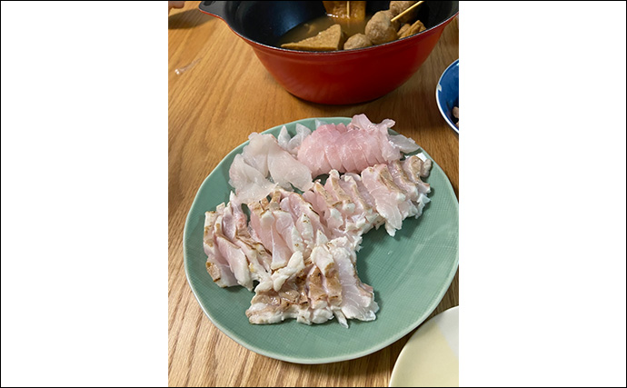 夜釣りで5.3kgアラ（クエ）をキャッチ！【山口】水深2〜3mの浅場ポイントでヒット