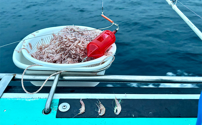「シマアジ出るか！？」南房シマアジ五目釣りで多彩釣果【安田丸】仕掛け微調整が奏功