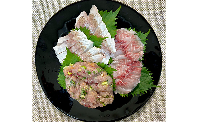 「シマアジ出るか！？」南房シマアジ五目釣りで多彩釣果【安田丸】仕掛け微調整が奏功