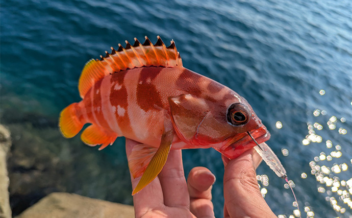 「秋の釣りは天気急変に注意！」荒天ロックフィッシュ釣行で見えた安全対策と攻略のヒント