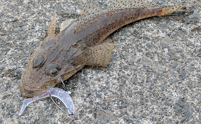 「秋の釣りは天気急変に注意！」荒天ロックフィッシュ釣行で見えた安全対策と攻略のヒント