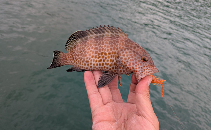「秋の釣りは天気急変に注意！」荒天ロックフィッシュ釣行で見えた安全対策と攻略のヒント