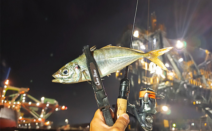 ボートアジングで27cm頭に良型アジ入れ食い！【北九州】軽量ジグヘッドと小型ワームが的中