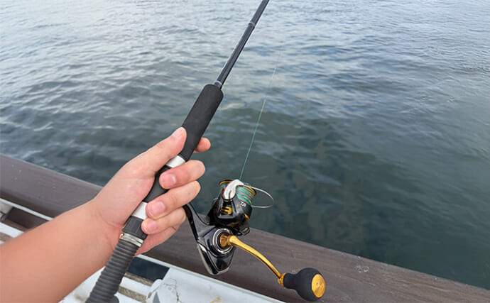 「秋は陸で青物を釣るチャンス！」ライトショアジギング（LSJ）の季節別ターゲットを紹介