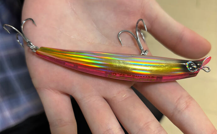 LSJ（ライトショアジギング）で持っておきたい【メタルジグ以外のルアーたち】