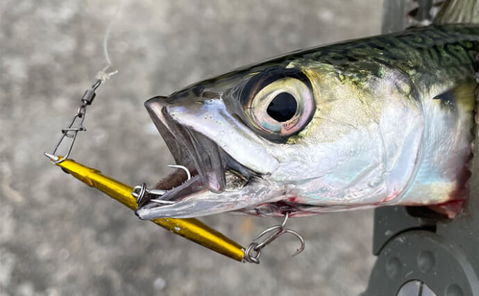 ライトショアジギング（LSJ）で使うメタルジグの重さは何g？　着底の感度が肝