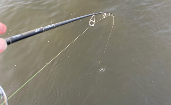 ライトショアジギング（LSJ）の基本アクション2選　レンジへの意識が超重要