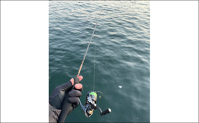 今年の秋冬は陸っぱりライトゲームに入門しよう　初めに揃えるべき釣具を紹介