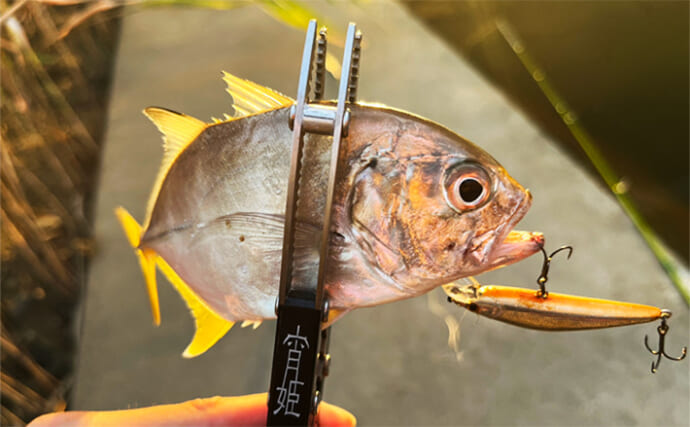 メッキゲーム＆テンヤタチウオのリレー釣りで両本命をキャッチ【淡路島】