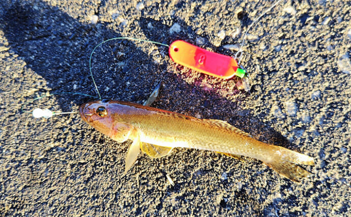 秋のファミリーフィッシング【危険回避ガイド】 もしもの際のお助けアイテム3選も紹介　