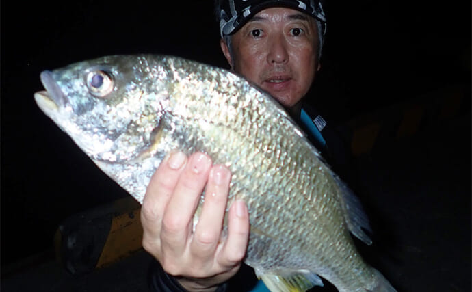 夜の浅場で大型キビレを狙い撃ち【熊本・三角港】ウキ釣りで45cm超えキャッチ成功