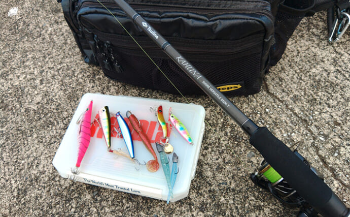 「秋は釣りターゲットがたくさん！」あれもこれも楽しめる【バーサタイルロッドって何？】