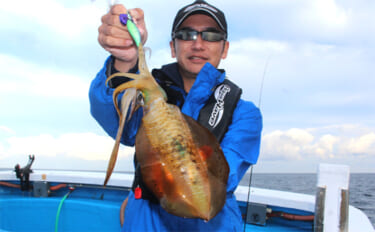 Slider 121619 – image