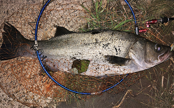 「魚の【荒食い】って何？」  活性がアップする秋こそ釣り入門の大チャンス！