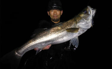 「9月は好調！」東京湾奥河川でシーバスにクロダイ連打【神奈川】コツン＆平打ちに好反応
