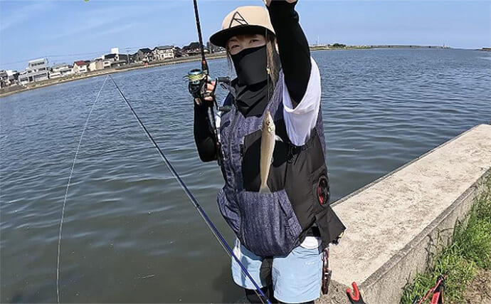 チョイ投げハゼ釣りで本命にキス好捕【新潟・関川】キビレとヒイラギの猛攻に苦戦