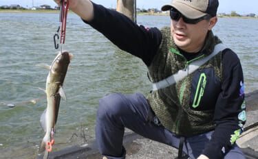 ファミリーフィッシングで手軽に大物釣りたいなら【アメリカナマズ釣りで決…