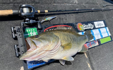 「ロッド選びの肝は弾性にあり？」 バス釣りにおける高弾性／低弾性ロッド…