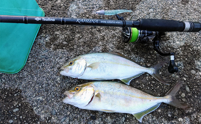 「秋は釣りターゲットがたくさん！」あれもこれも楽しめる【バーサタイルロッドって何？】