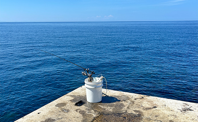 ヤエン釣りでアオリイカ6杯をキャッチ【茂原人工海水浴場】ゲストに青物もヒット