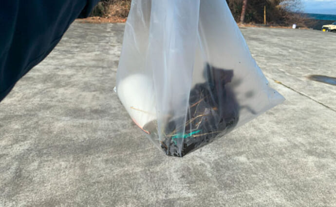 捨てられたペットボトルは【魚の死のゆりかご】　海洋ゴミによる見逃しがちな悪影響とは？